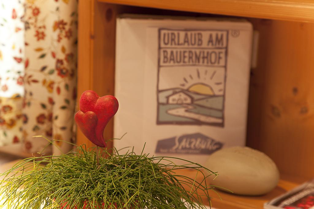 Bauernhofurlaub Sinnhubgut Altenmarkt im Pongau Room photo