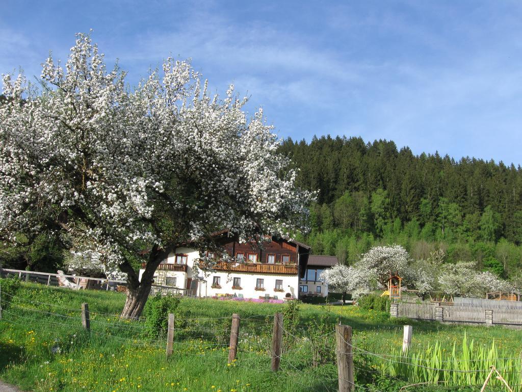 Bauernhofurlaub Sinnhubgut Altenmarkt im Pongau Exterior photo